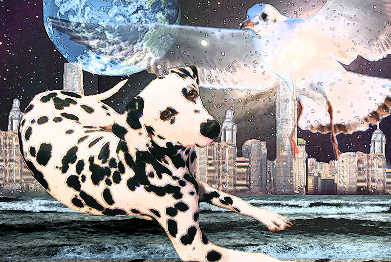 space