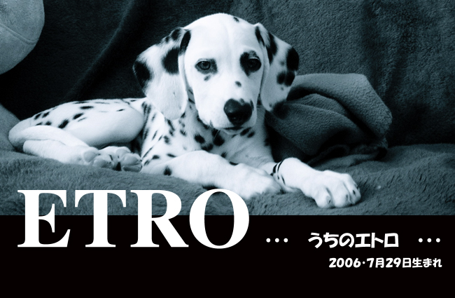 �G�g��